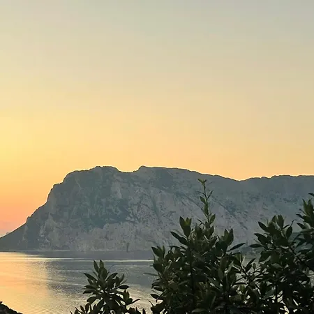 Apartament Trilocale Punta Est Vista Mare Capo Coda Cavallo